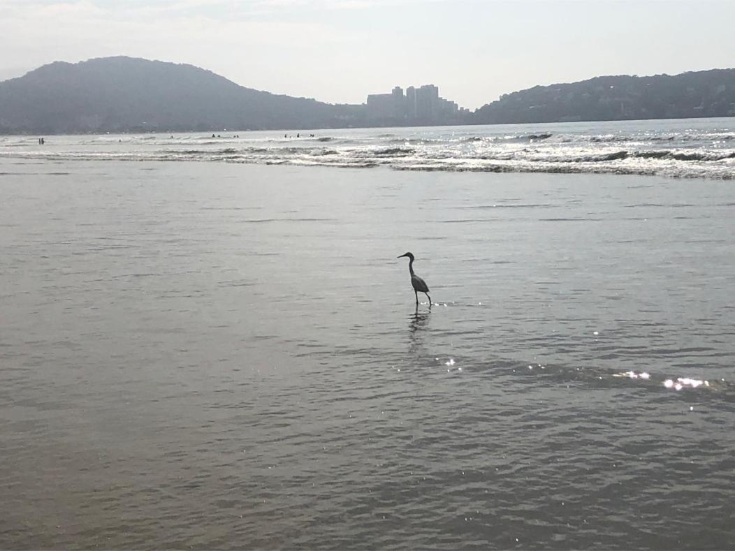 3 Dormitorios No Guaruja, Proximo Ao Aquario! Sinta-Se Em Casa! 外观 照片